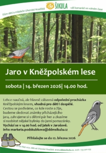 jaro_v_knezpolskem_lese_2026_(1)